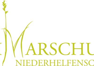 logo_primarschule-niederh grün